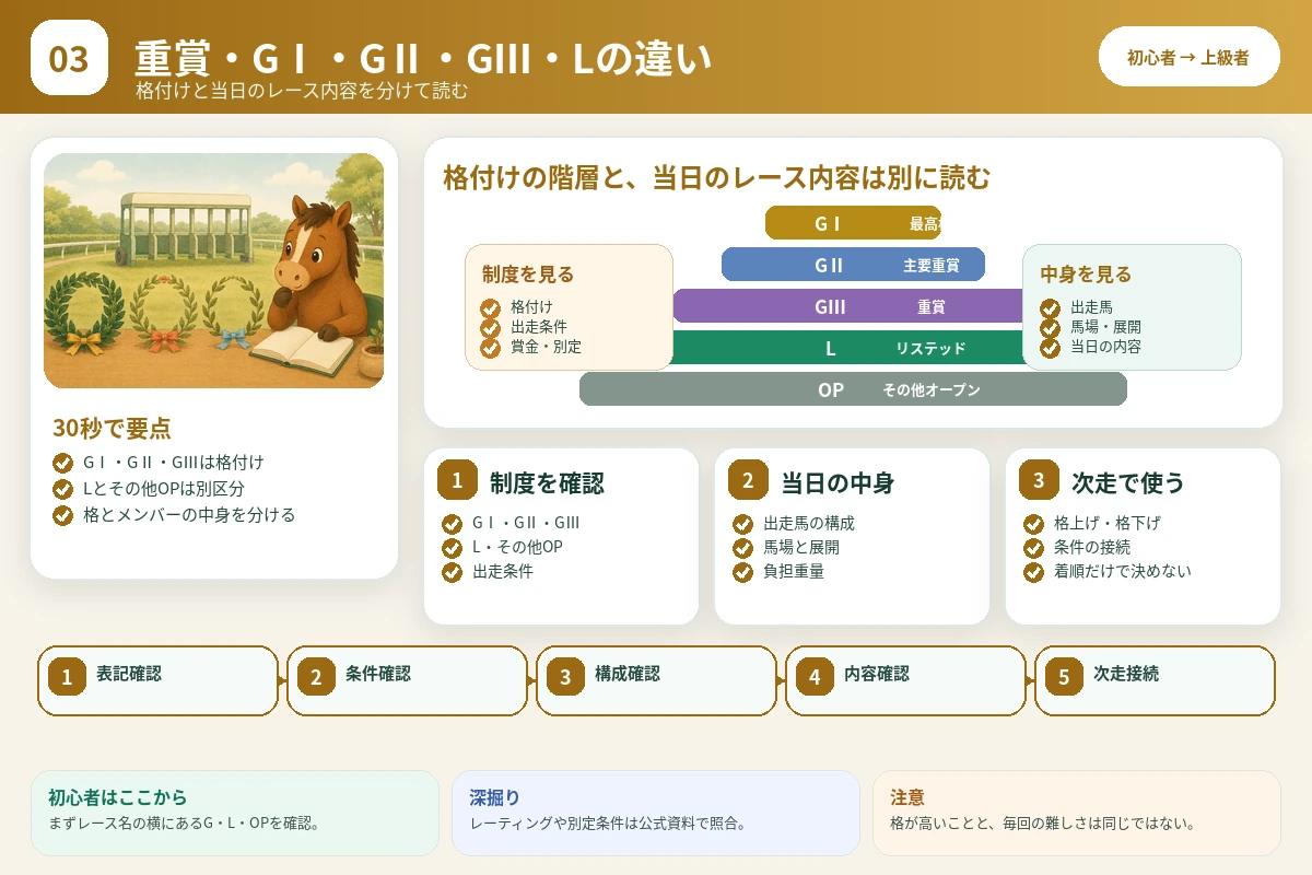 G1・G2・G3・リステッド・オープンの制度と当日のレース内容を分けて読む図解