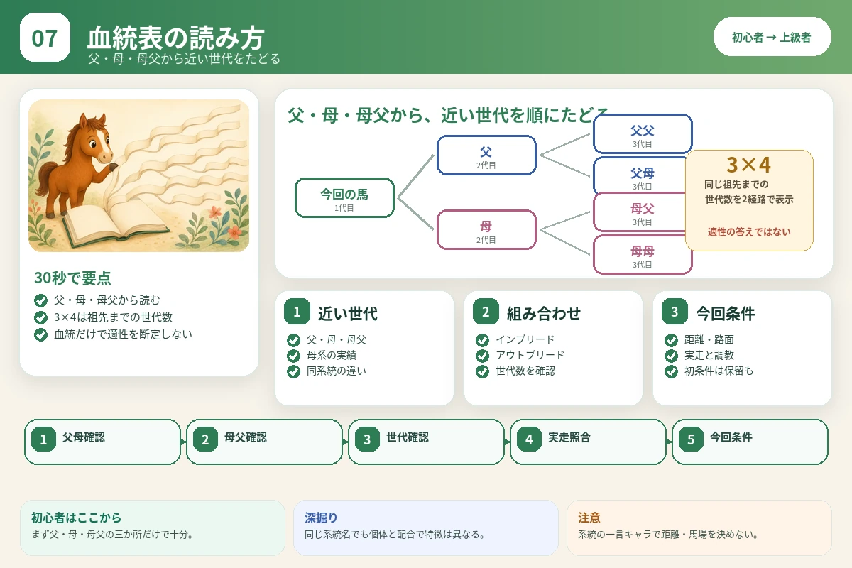 血統表を父・母・母父・祖先までの世代数の順で読む図解