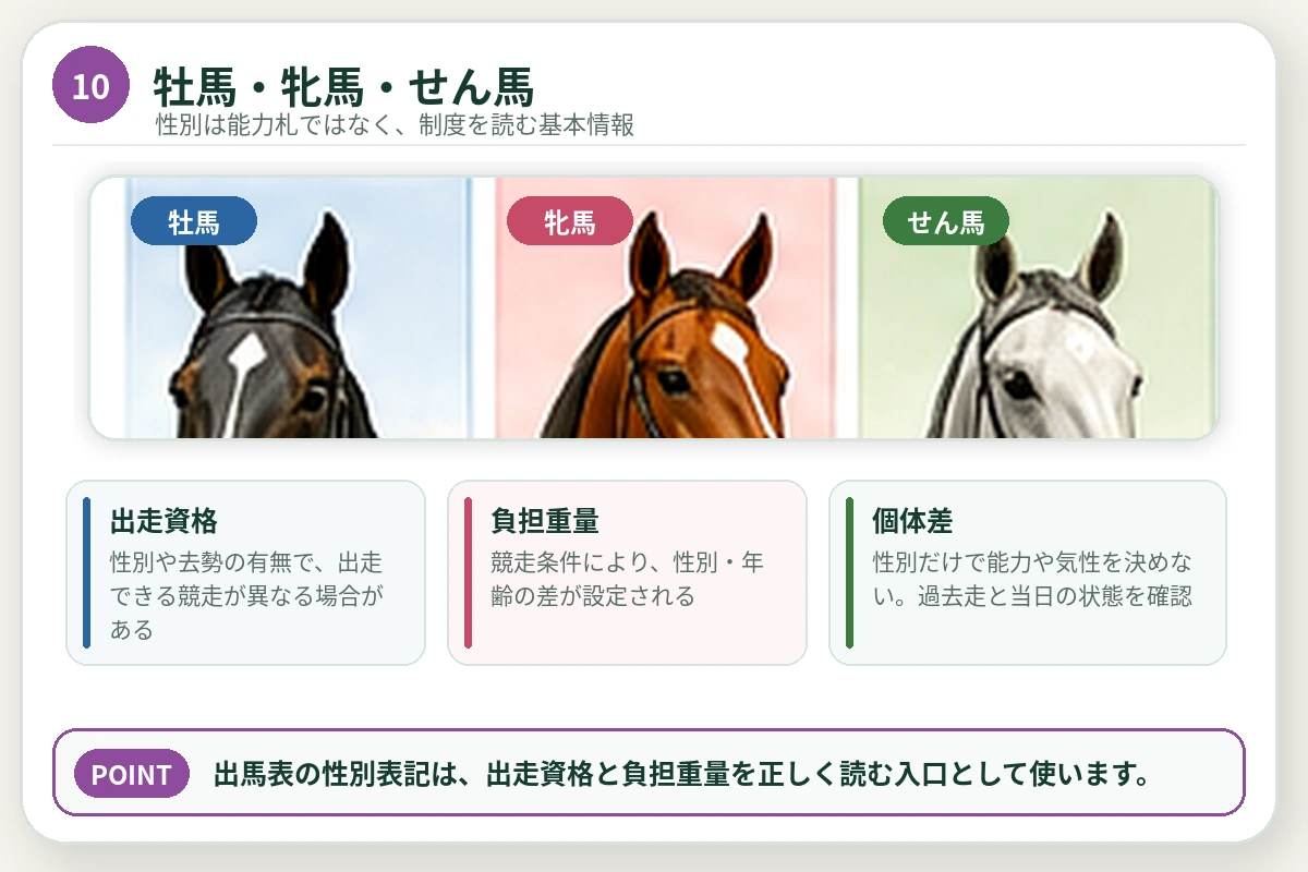 牡馬・牝馬・せん馬の表記、出走資格、負担重量、個体差を整理した図解