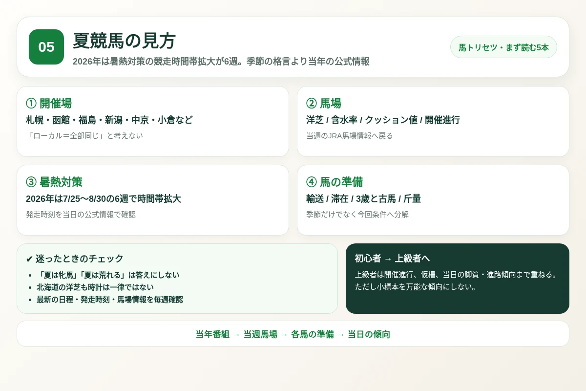 夏競馬の見方の確認順と注意点を整理した図解
