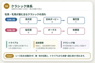 牡馬三冠と牝馬三冠、トライアルから本番への流れを示す図解