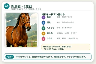 新馬戦と2歳戦で、血統・調教・パドック・返し馬・クラスを順に確認する図解