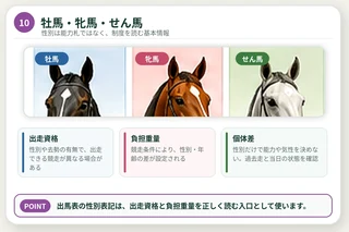 牡馬・牝馬・せん馬の表記、出走資格、負担重量、個体差を整理した図解